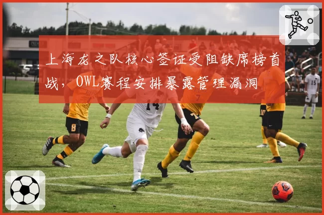 上海龙之队核心签证受阻缺席榜首战，OWL赛程安排暴露管理漏洞