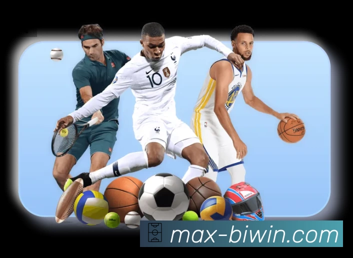 必赢专业体育内容入口